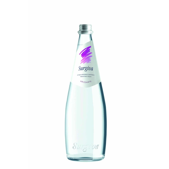 Apa Minerala Naturala Carbogazoasa Surgiva 0.5l